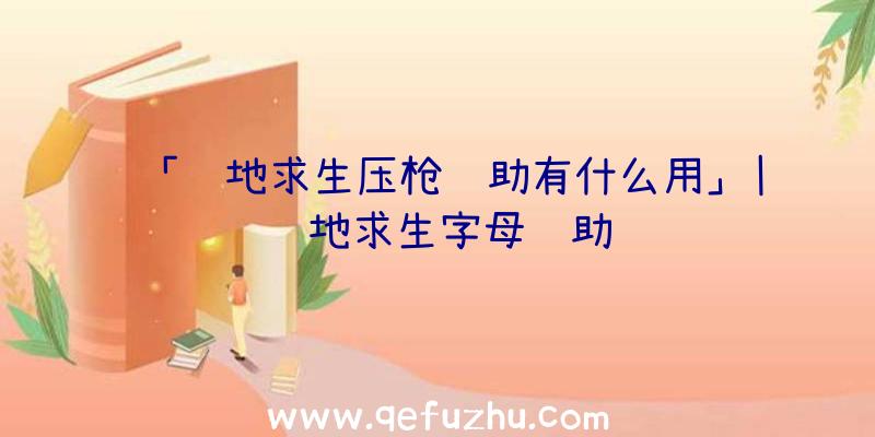 「绝地求生压枪辅助有什么用」|绝地求生字母辅助